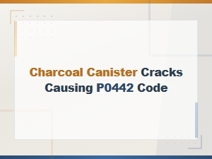 Charcoal Canister Cracks Causing P0442 Code