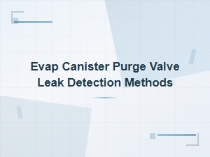 Evap Canister Purge Valve Leak Detection Methods and Common Leak Sources
