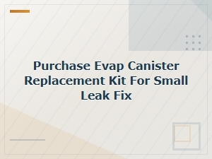 Evap Canister Replacement Kit for Small Leak Fix